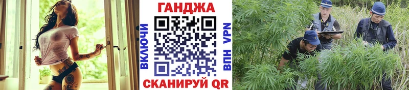 Купить закладки  Пионерский  Каннабис Bruce Banner 